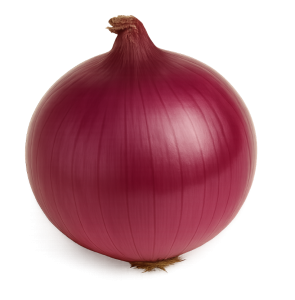 cebula-lilla