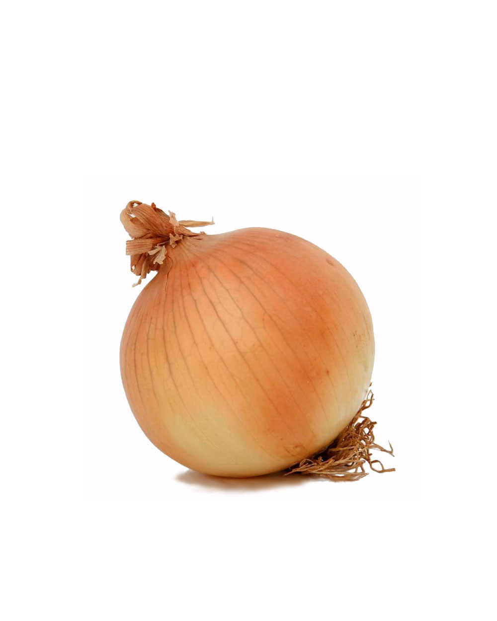 How many onions have we got. Лук на белом фоне.