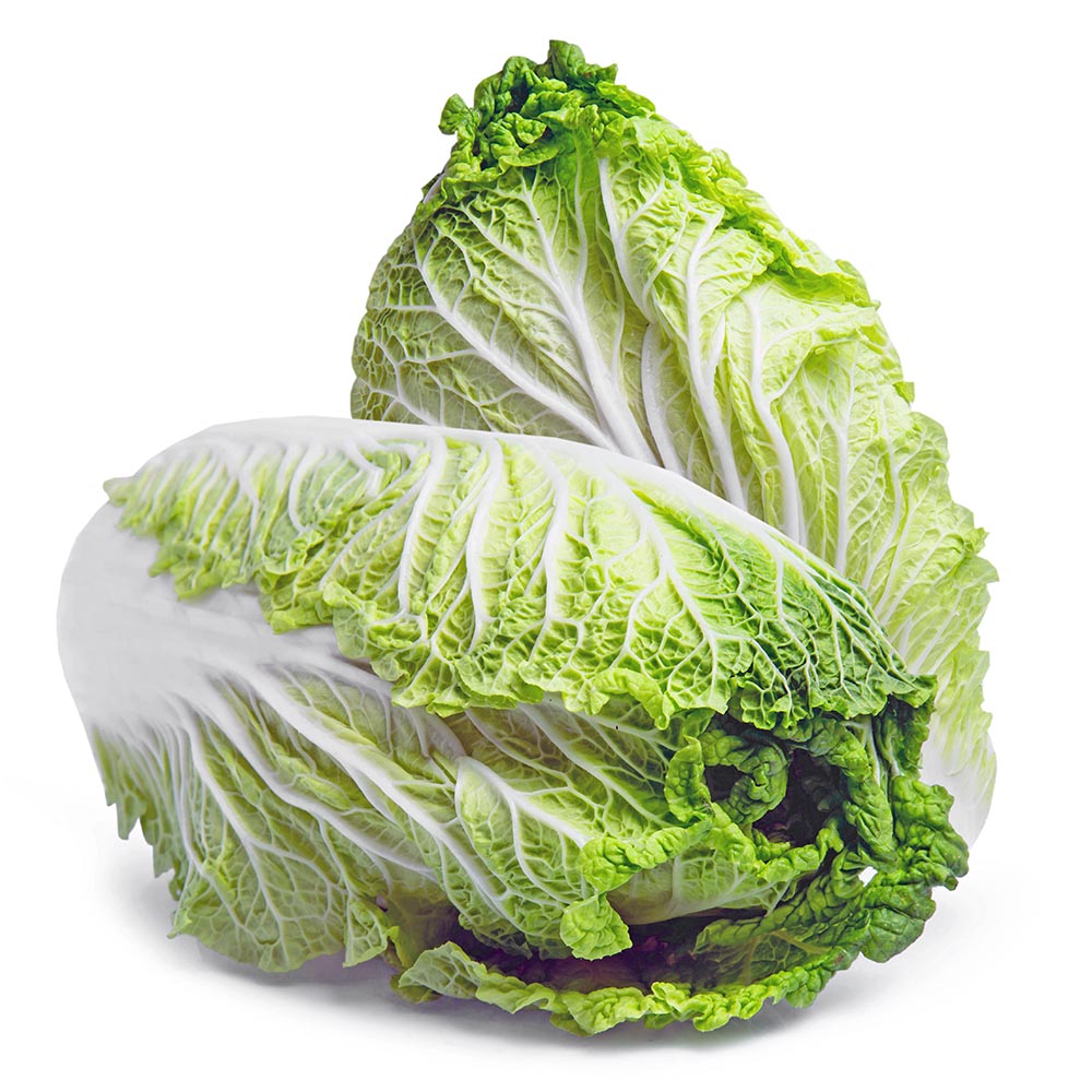 vegetable chinese cabbage isolated on white background