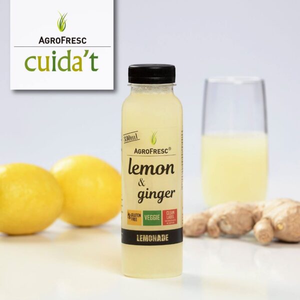 LIMONADA 100% NATURAL 500 ML