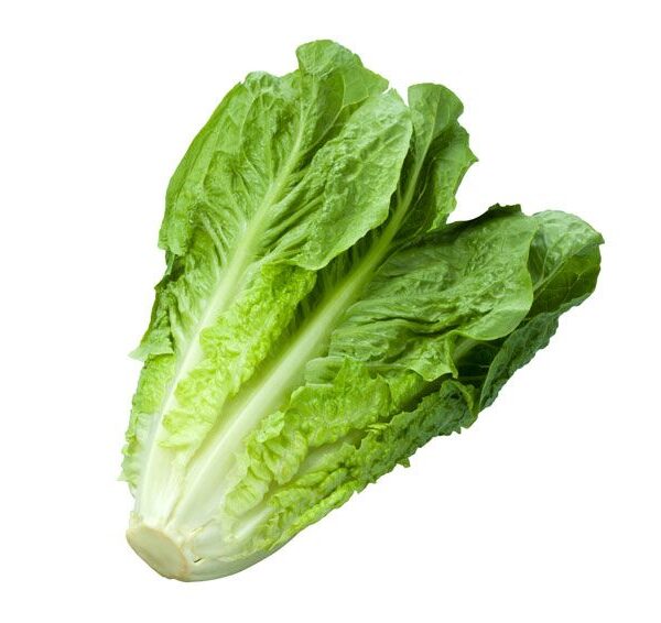 LECHUGA LARGA UNIDAD