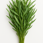 tarragon