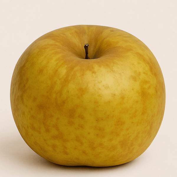manzana