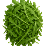 rucula