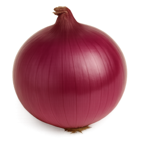 cebula-lilla