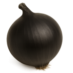 cebulla-negra