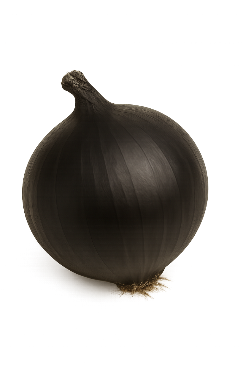 cebulla-negra
