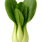 pakchoy