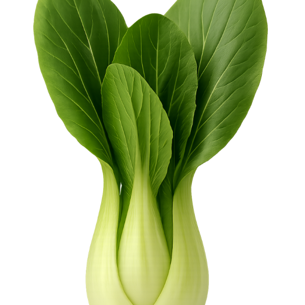 pakchoy